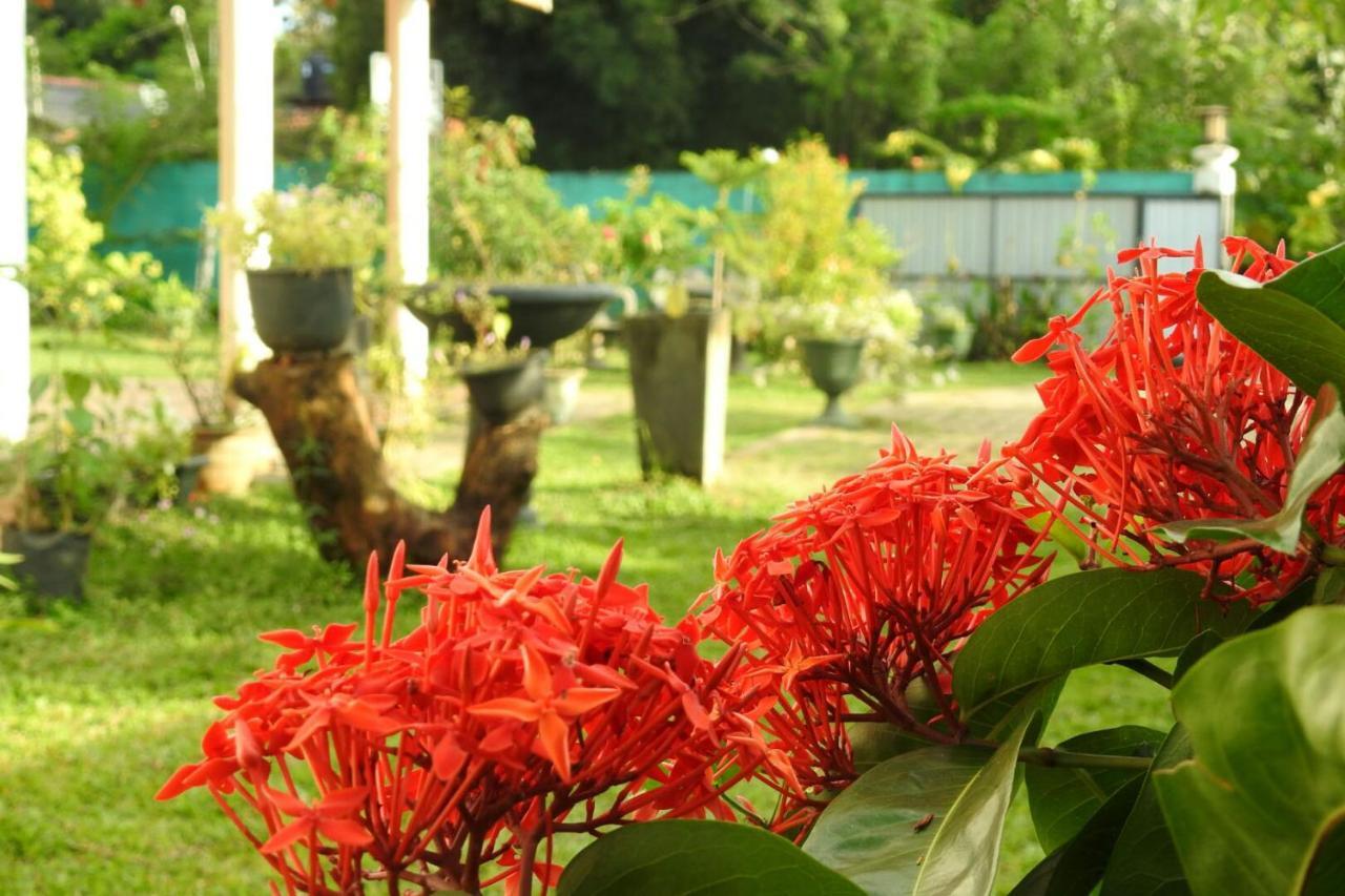 Hotel Nimjaya Udawalawe Esterno foto